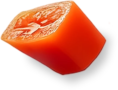 Vector